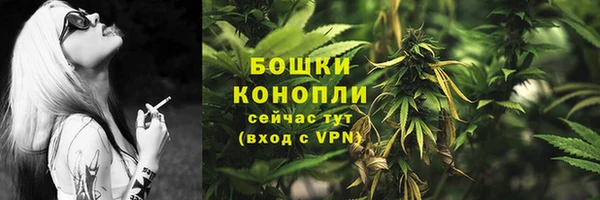 индика Богданович