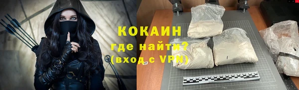 индика Богданович