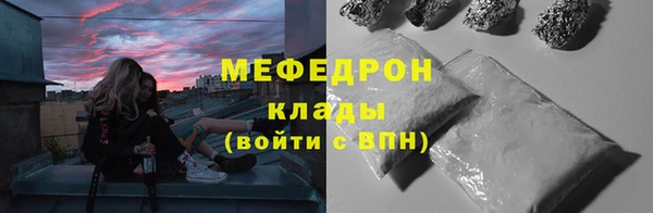индика Богданович