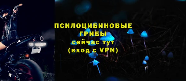 индика Богданович