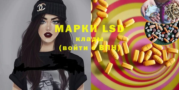 индика Богданович
